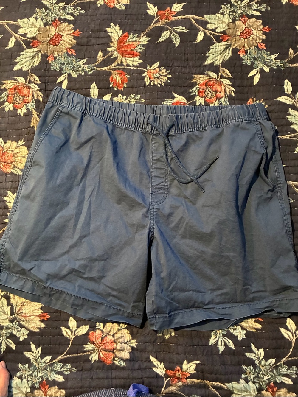 Izod Striped Gray Blue Stretch Shorts